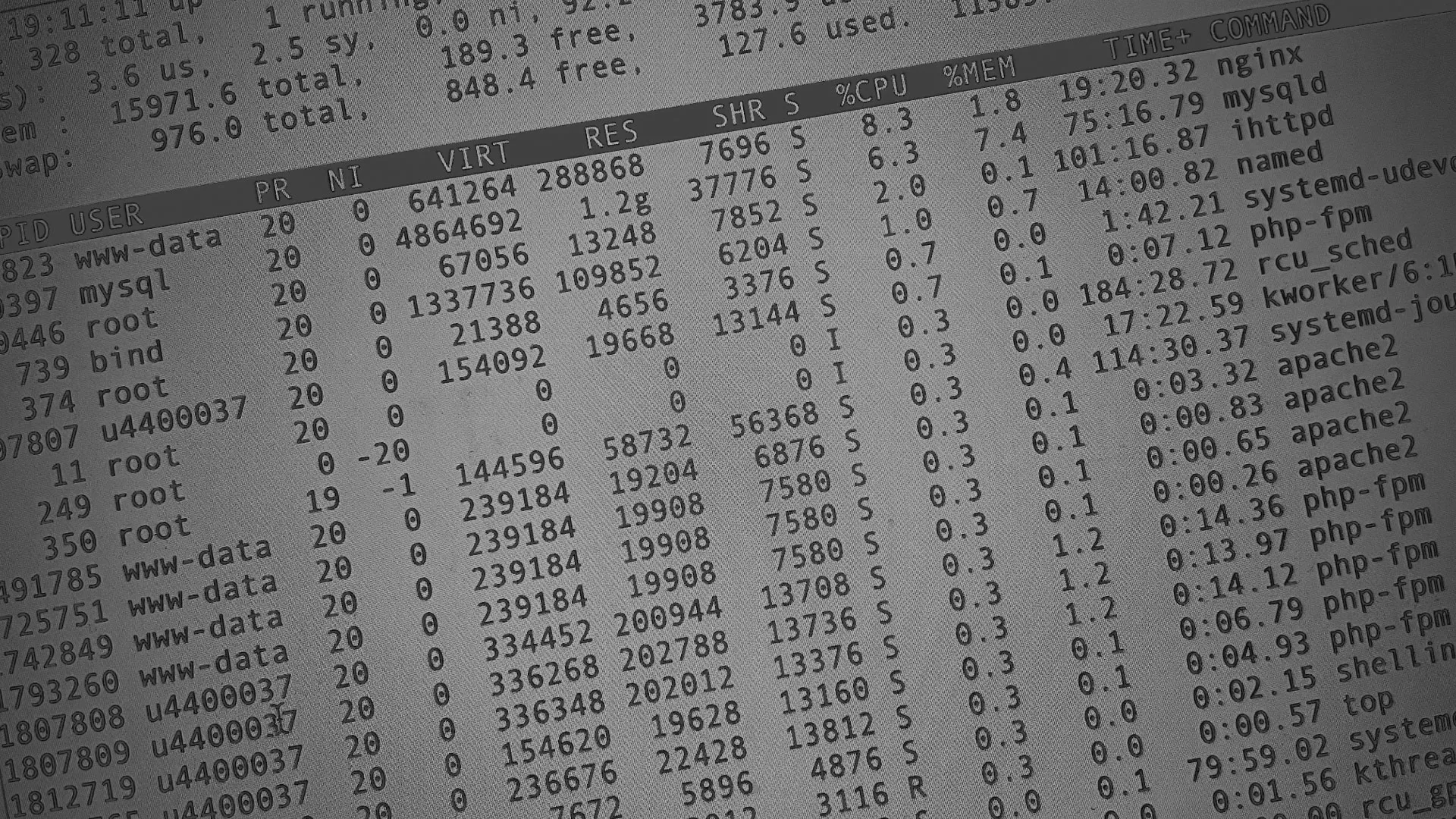 Настройка сервера в Богдановиче