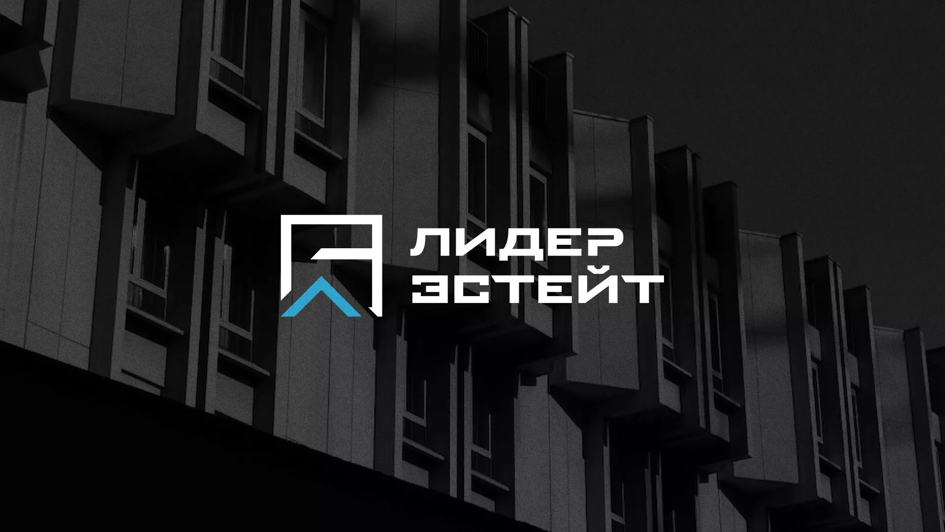 Разработка логотипа агентства недвижимости «Лидер Эстейт» в Богдановиче
